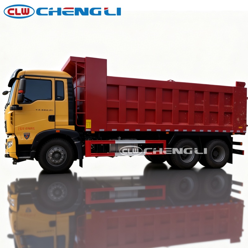 25ton Howo Snow Plow Truck
